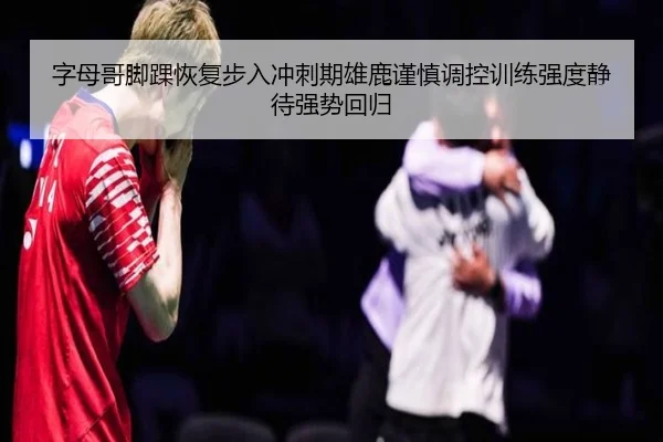 字母哥脚踝恢复步入冲刺期雄鹿谨慎调控训练强度静待强势回归